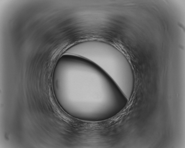 X0000097870097200803140927