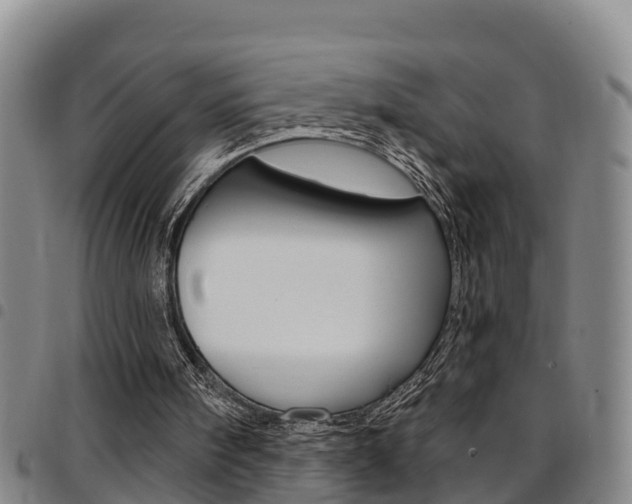X0000097870098200803140927
