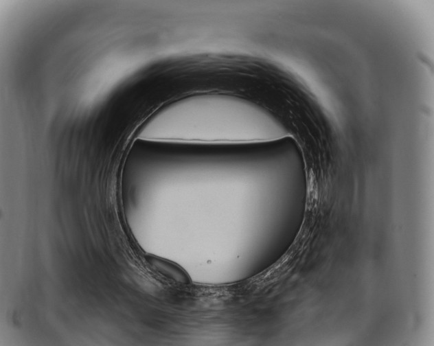 X0000097870099200803140927