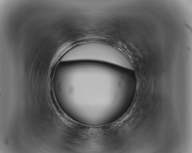 X0000097870101200803140927