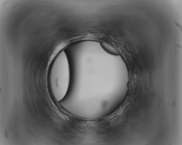 X0000097870102200803140927