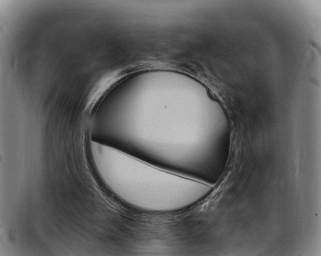 X0000097870103200803140927