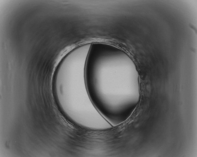 X0000097870104200803140927