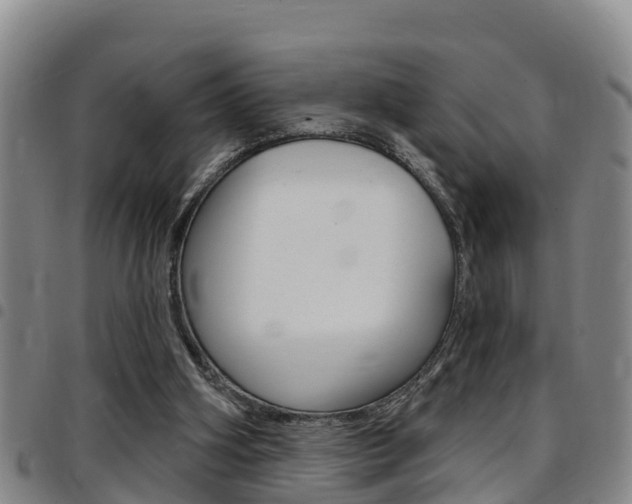 X0000097870106200803140927