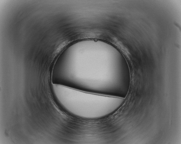 X0000097870107200803140927