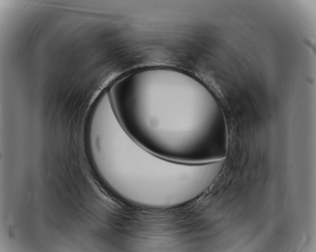 X0000097870108200803140927