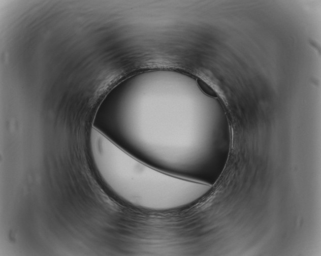 X0000097870109200803140927