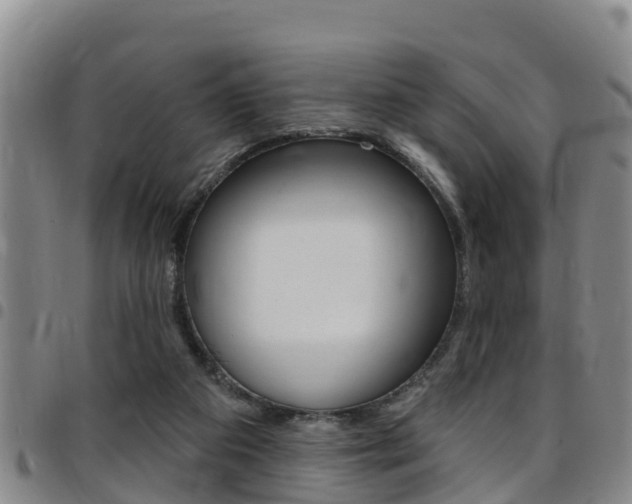 X0000097870113200803140927