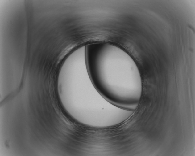 X0000097870116200803140926