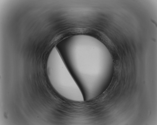 X0000097870119200803140926