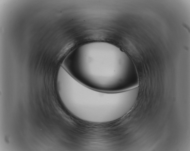 X0000097870120200803140926