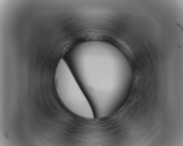 X0000097870121200803140926