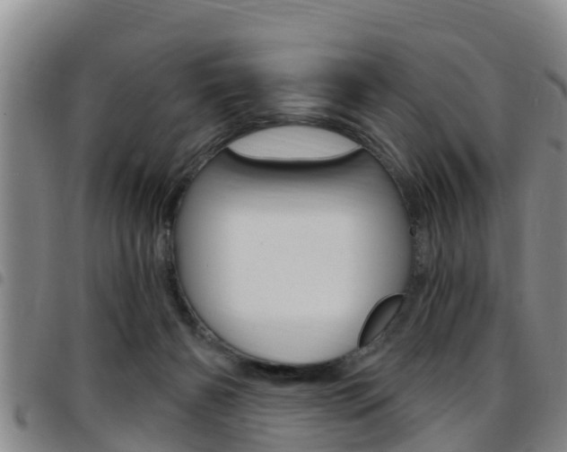 X0000097870126200803140926