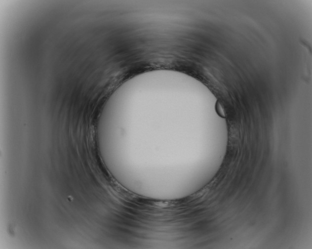 X0000097870130200803140926