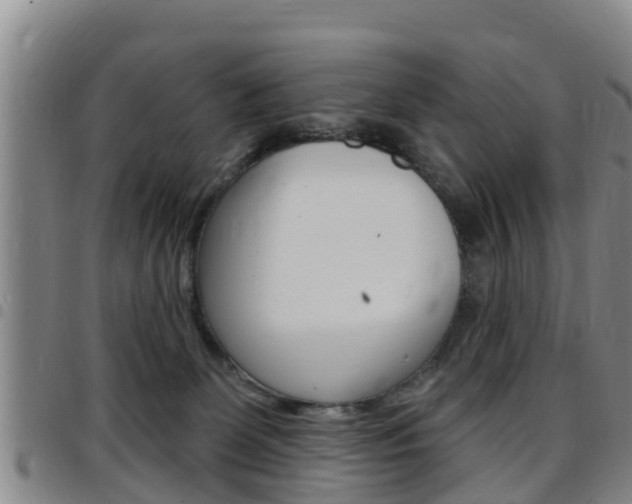 X0000097870131200803140926