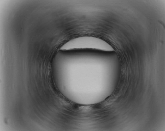 X0000097870133200803140926