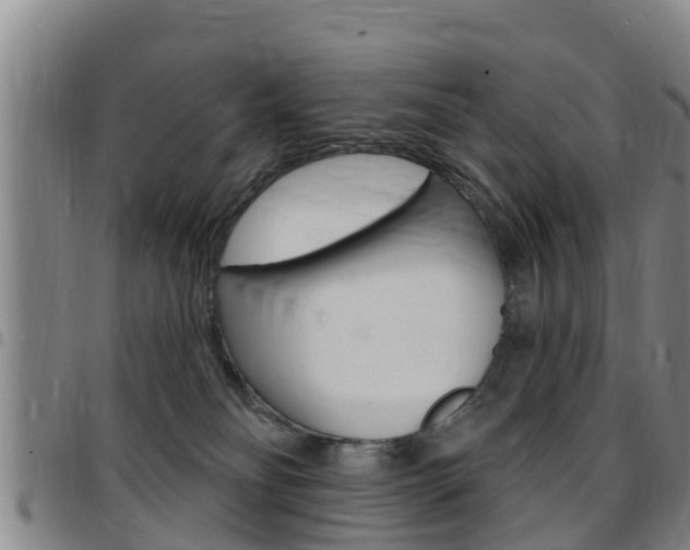 X0000097870134200803140926