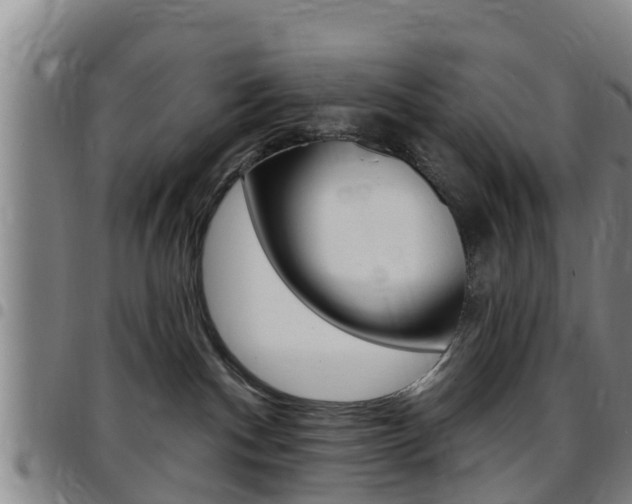 X0000097870140200803140926