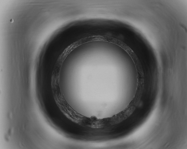 X0000097870143200803140926