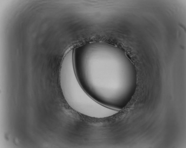 X0000097870144200803140926
