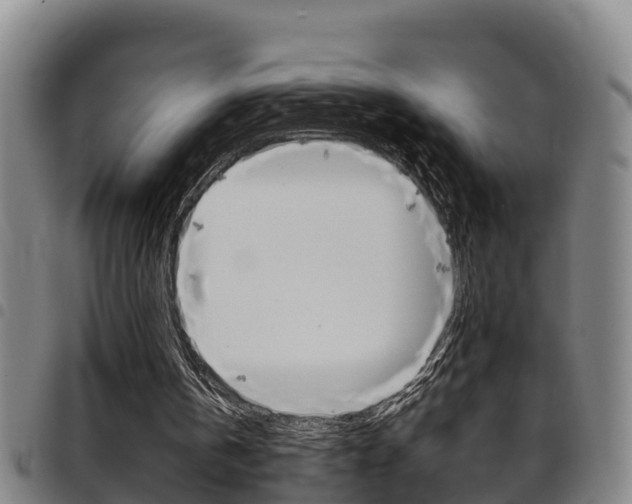 X0000097870146200803140925