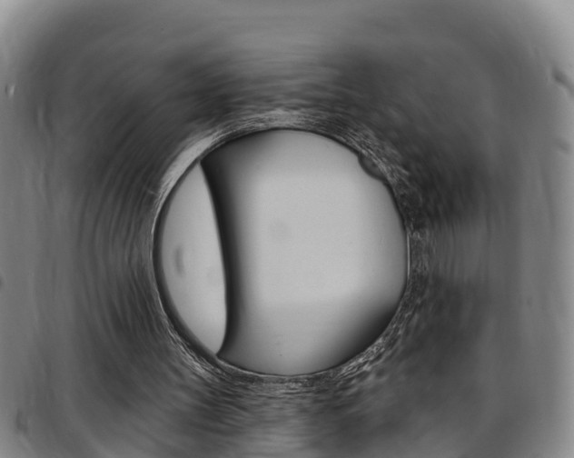 X0000097870147200803140925