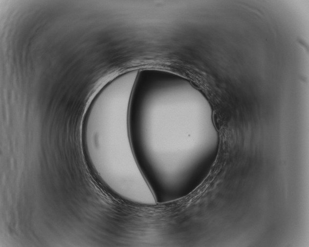X0000097870148200803140925