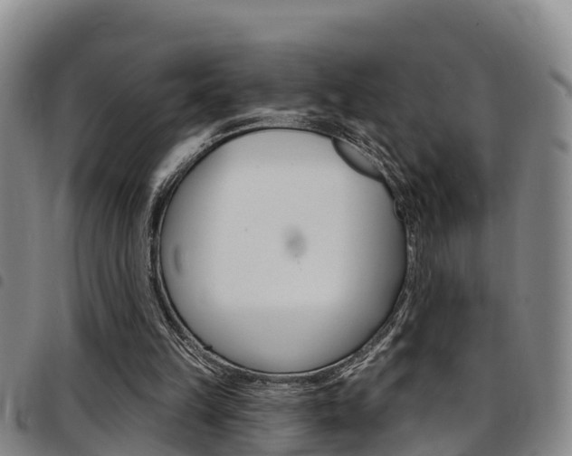 X0000097870149200803140925