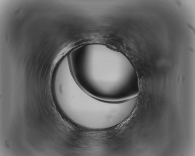 X0000097870150200803140925