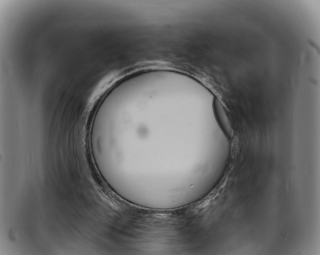 X0000097870151200803140925