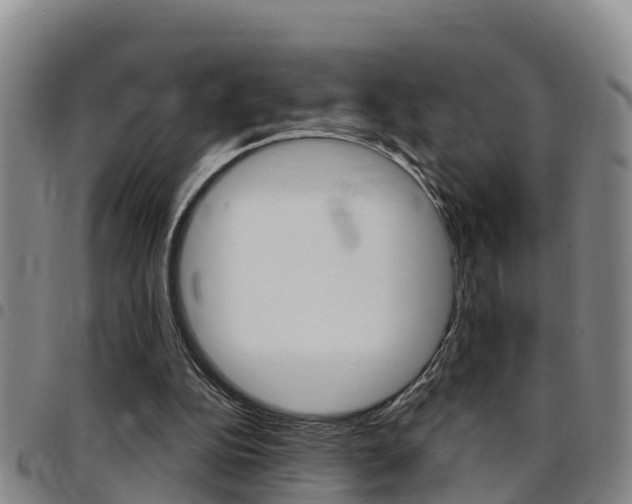 X0000097870152200803140925