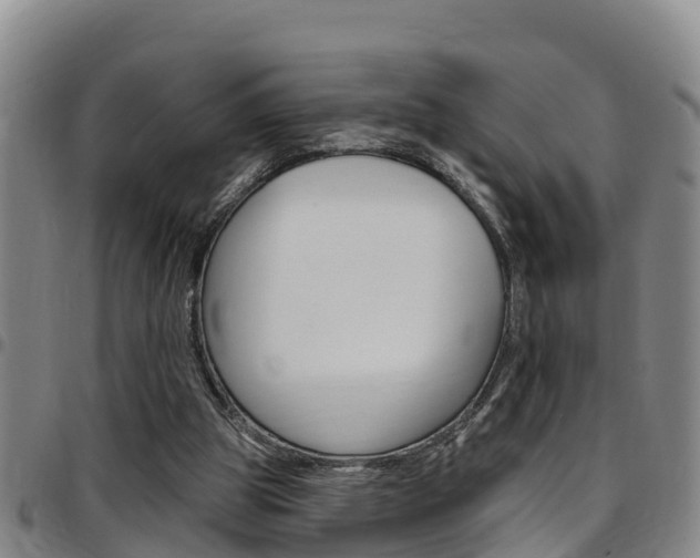 X0000097870153200803140925