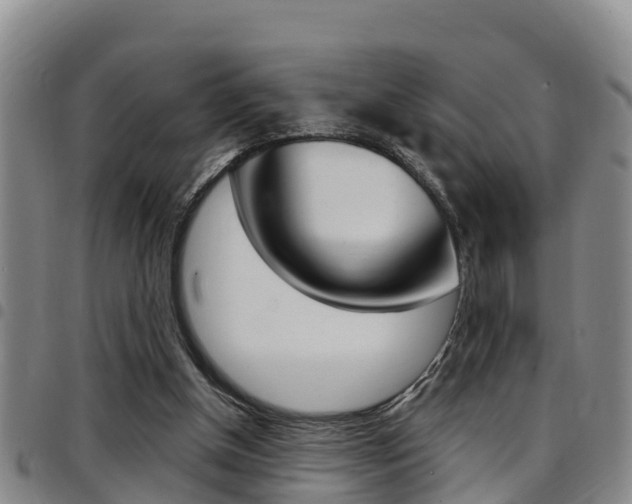 X0000097870154200803140925