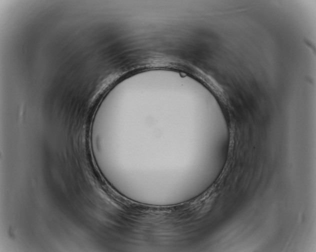 X0000097870155200803140925