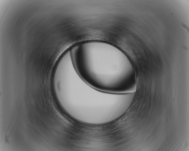 X0000097870156200803140925