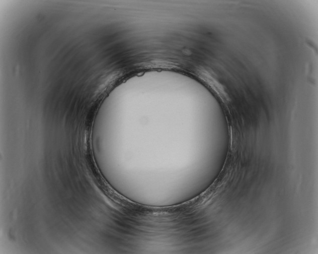 X0000097870157200803140925