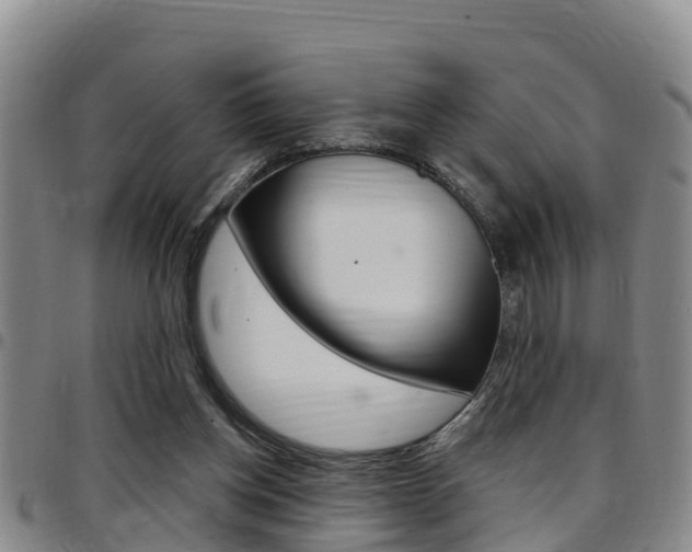 X0000097870158200803140925
