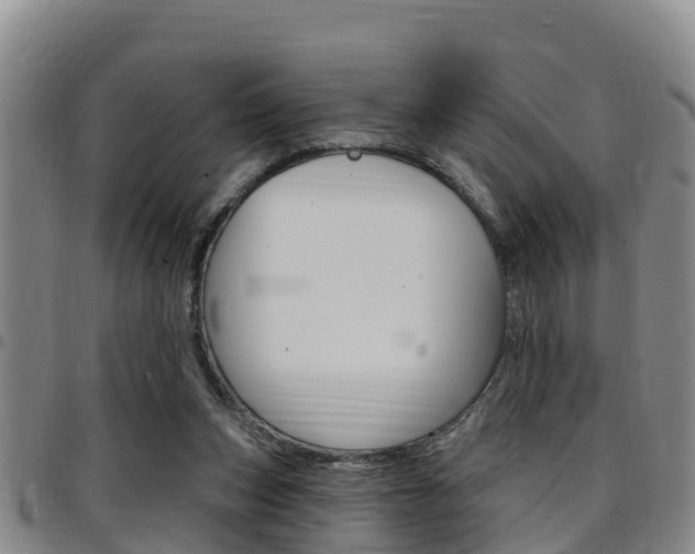 X0000097870159200803140925