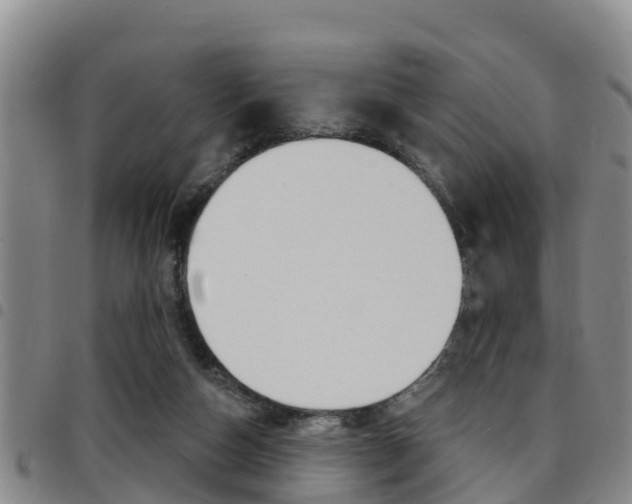 X0000097870162200803140925