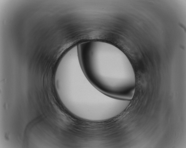 X0000097870164200803140926