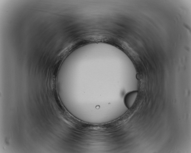 X0000097870165200803140926