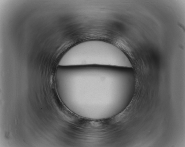 X0000097870166200803140926