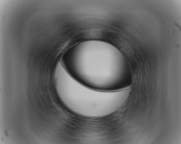 X0000097870168200803140926