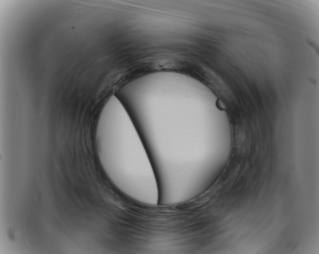 X0000097870169200803140926