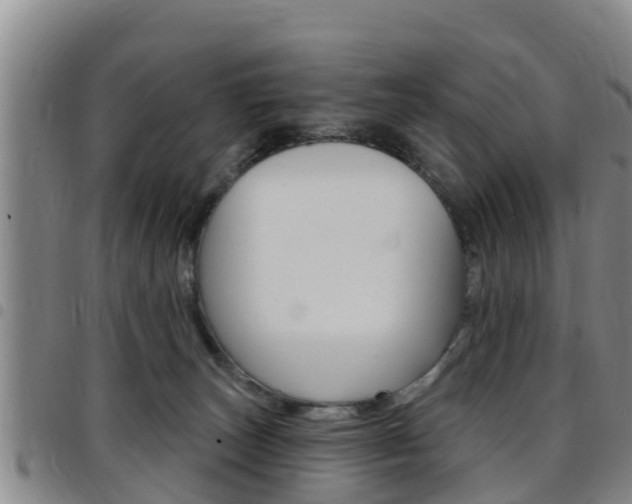 X0000097870179200803140926