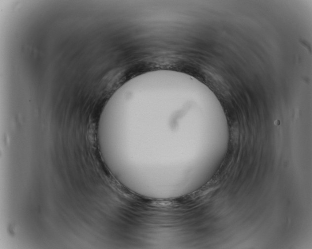 X0000097870181200803140926