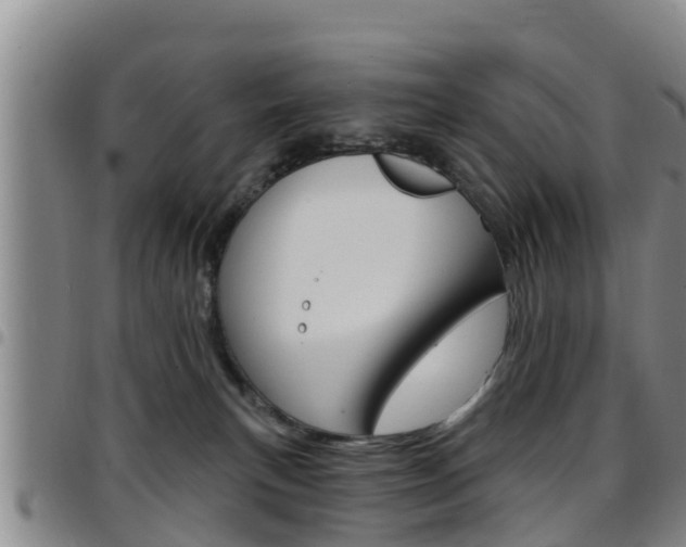 X0000097870183200803140926