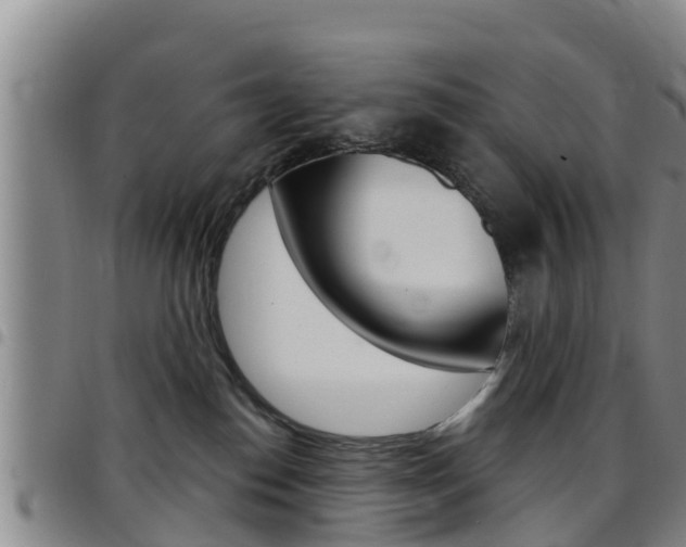 X0000097870186200803140926
