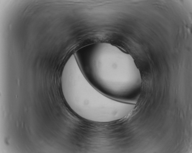 X0000097870188200803140926