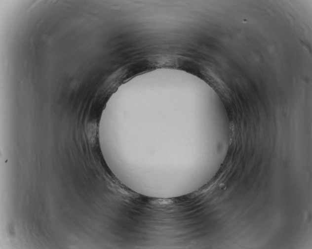 X0000097870189200803140926